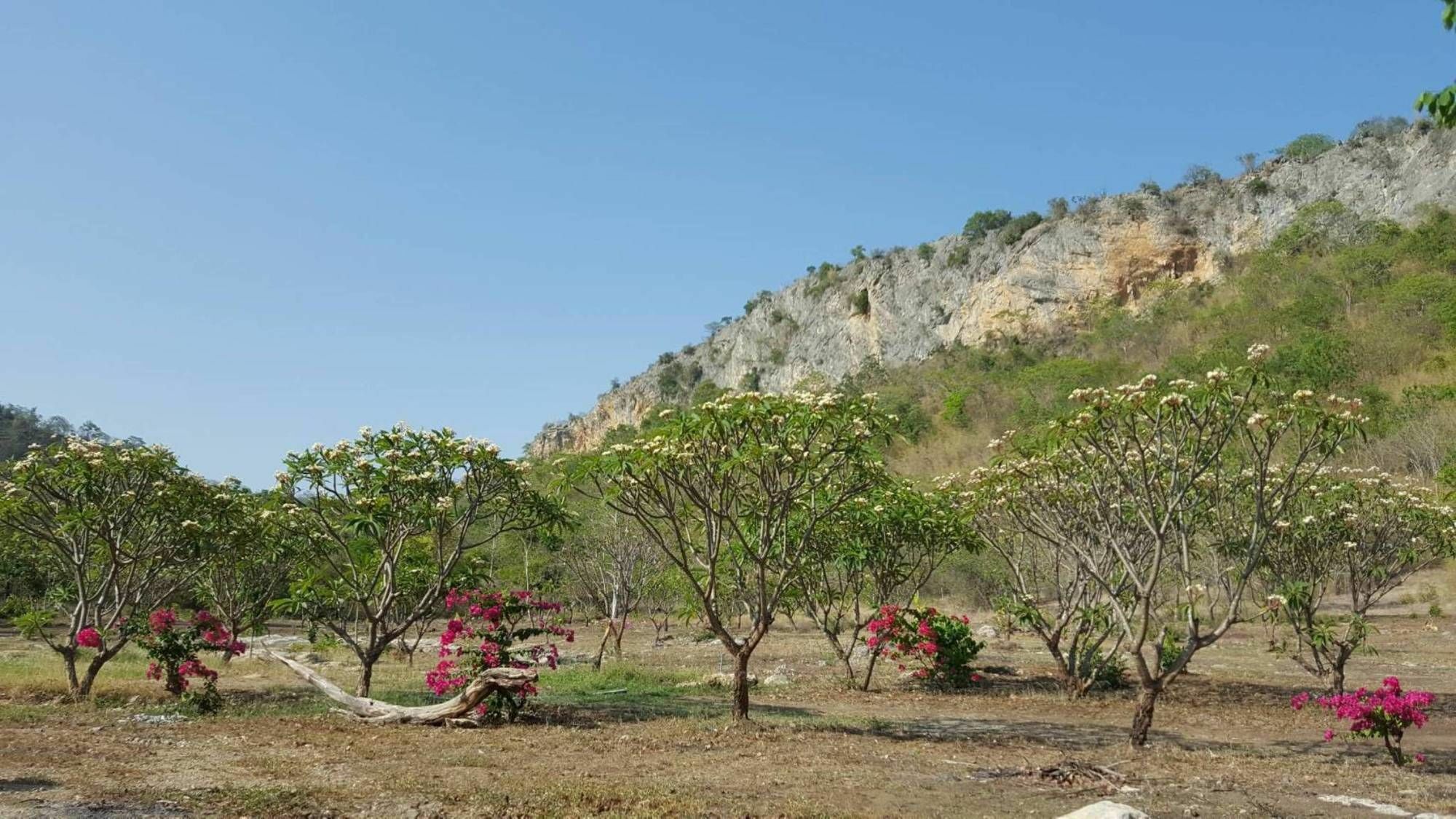 Phurang Hill Resort Kanchanaburi Buitenkant foto