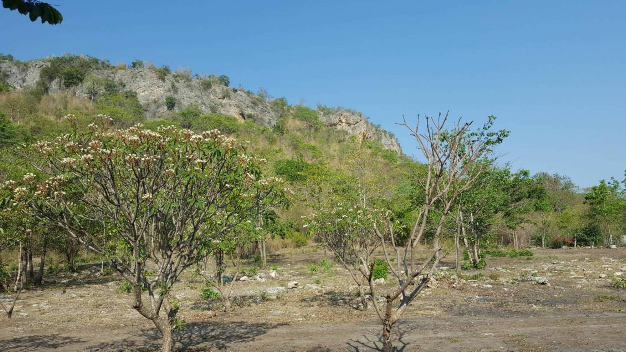 Phurang Hill Resort Kanchanaburi Buitenkant foto